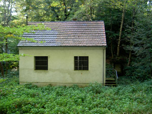 Wald und Wiesen